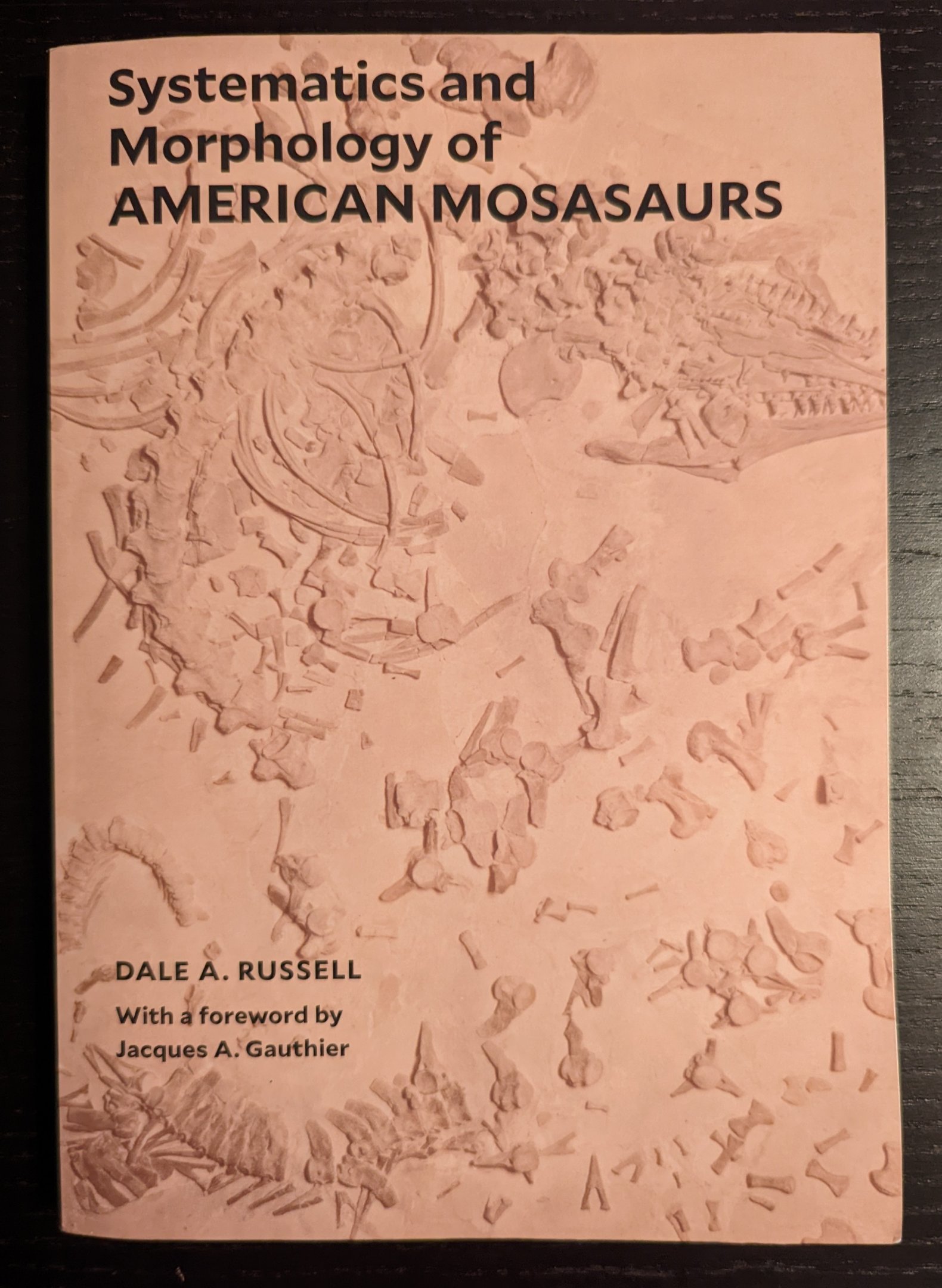 Systematics and Morphology of American Mosasaurs