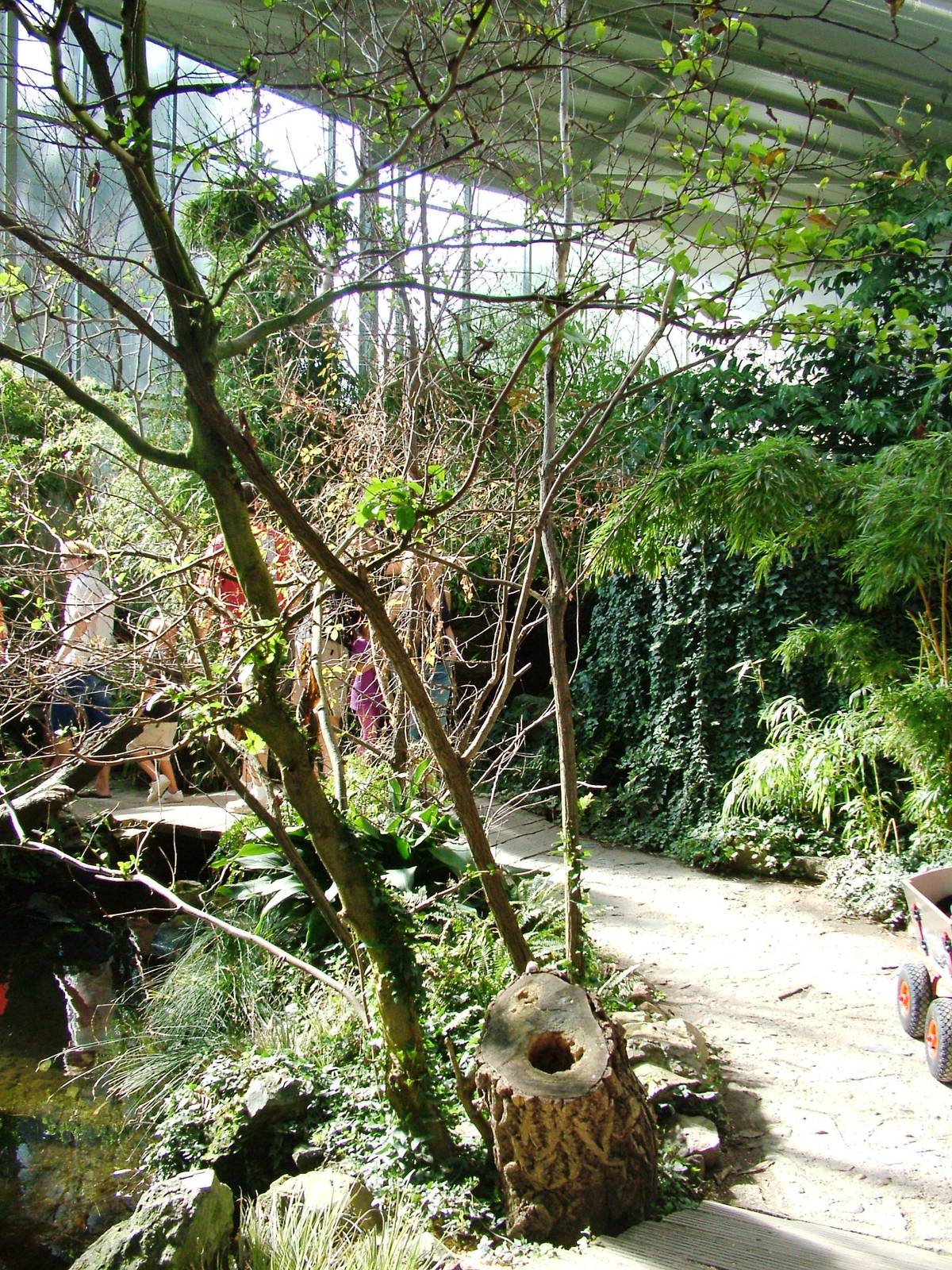 Szechuan House at Prague, 25/08/12