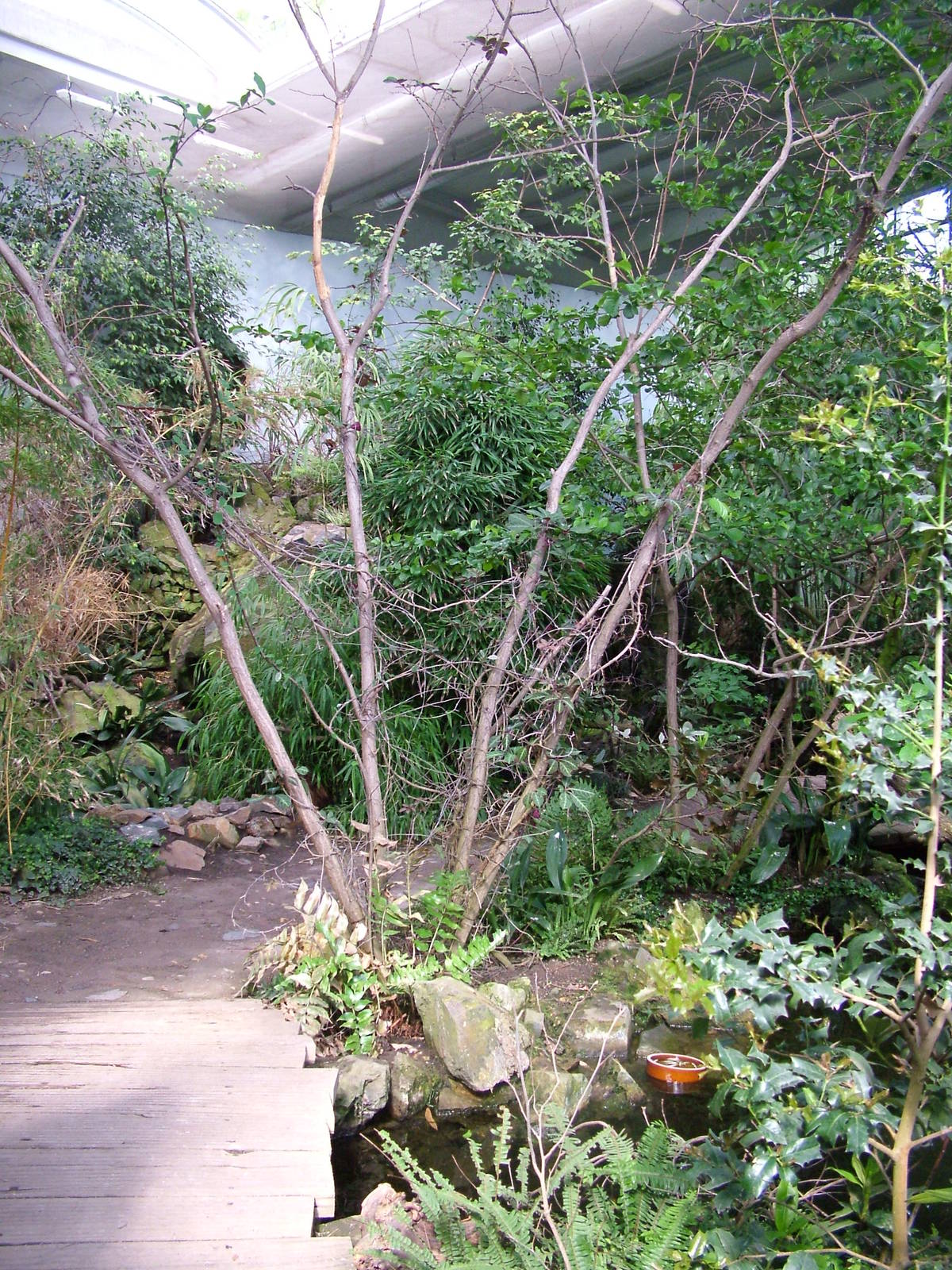Szechuan Pavilion interior at Prague, 24/05/10