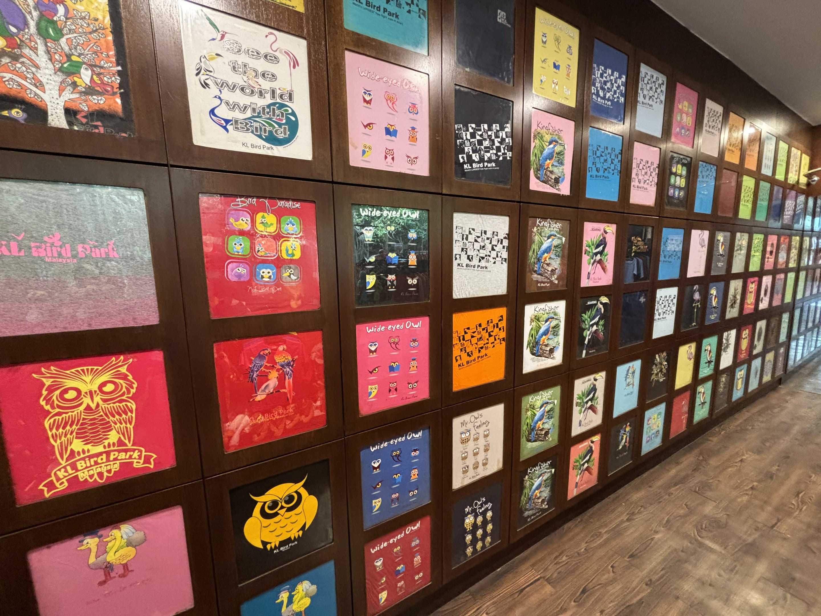 T-shirt options in gift shop