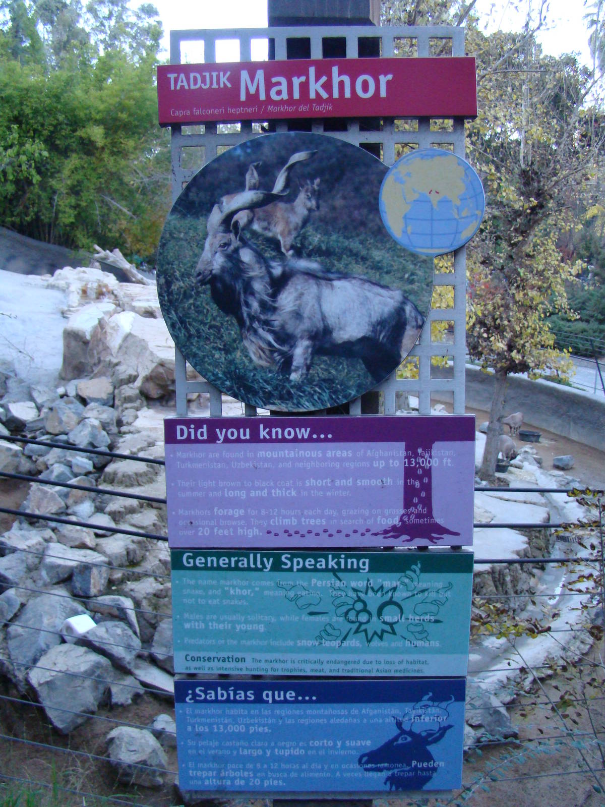 Tadjik Markhor exhibit sign