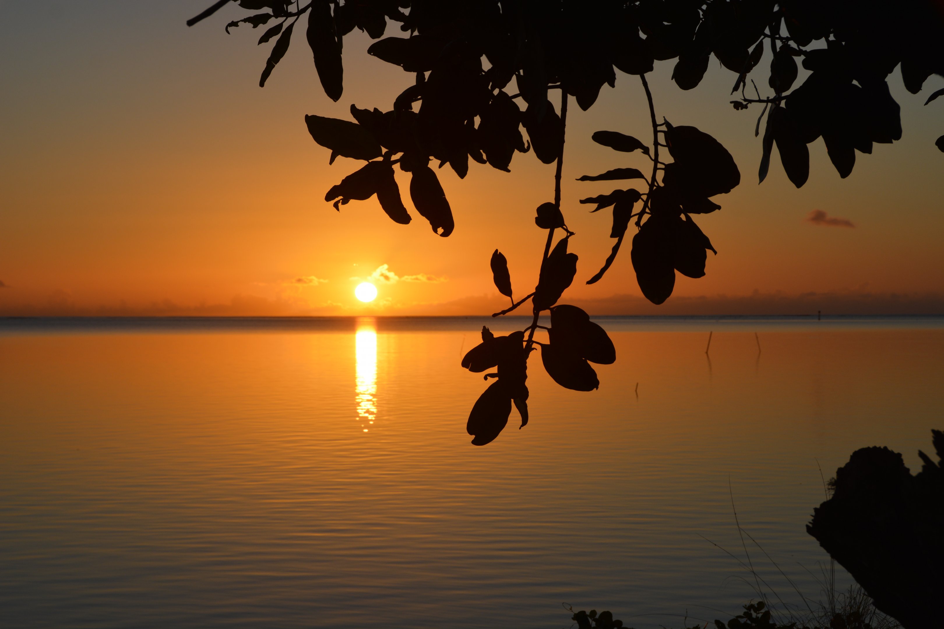 Tahitian sunset