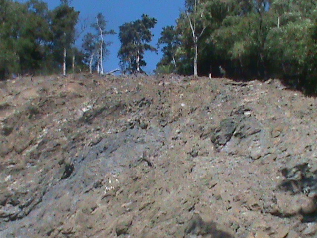 tahr enclosure 140911