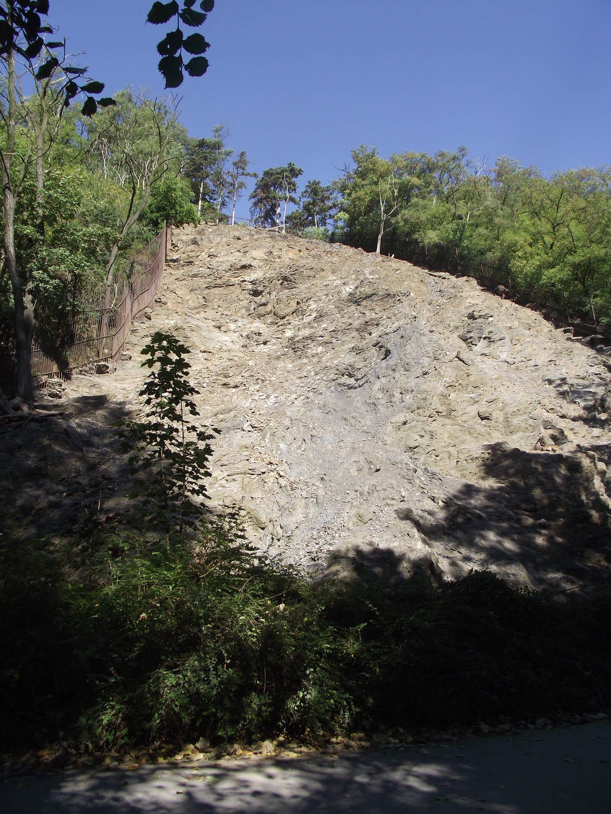 tahr enclosure 140911