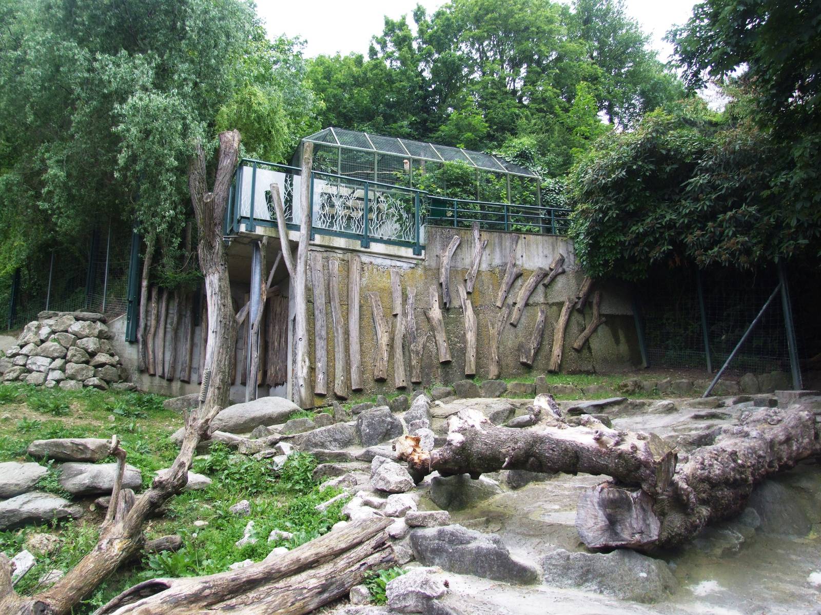Tahr Enclosure at Vienna, 14/06/13
