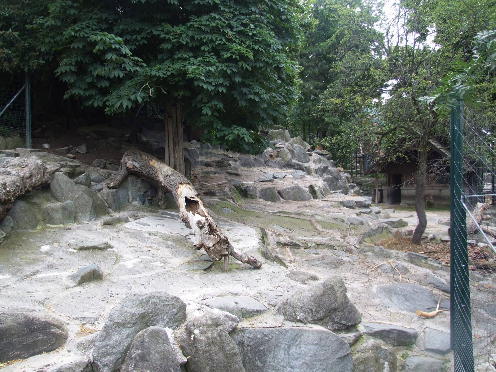 Tahr Enclosure at Vienna, 14/06/13