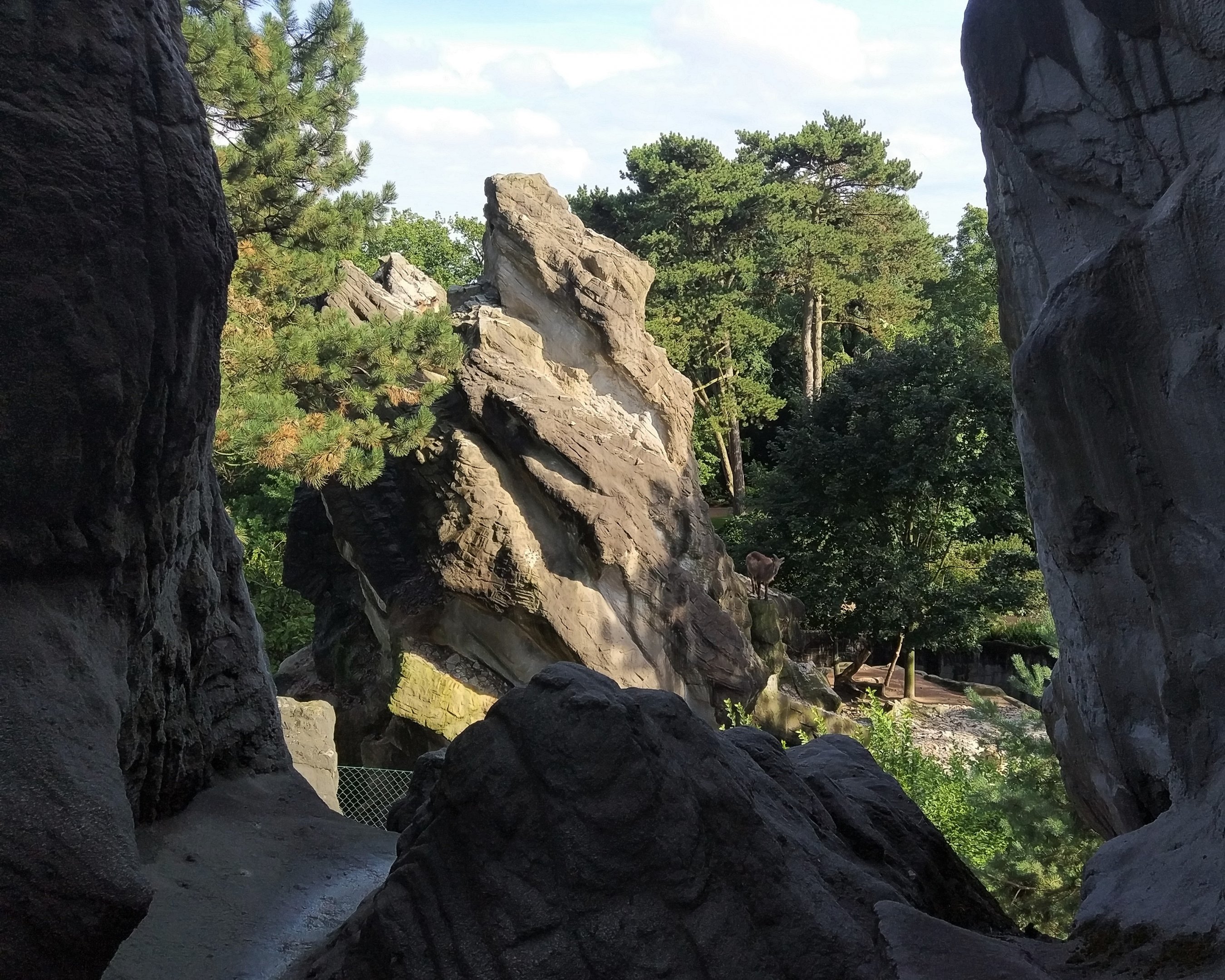 Tahr Mountain - African Vista