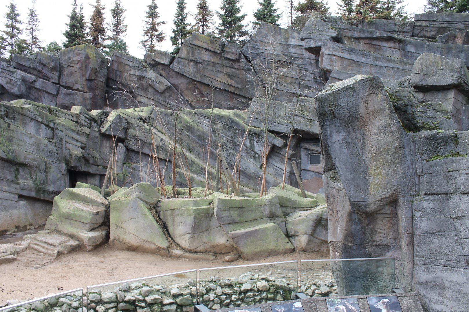 Tahr - Takin enclosure