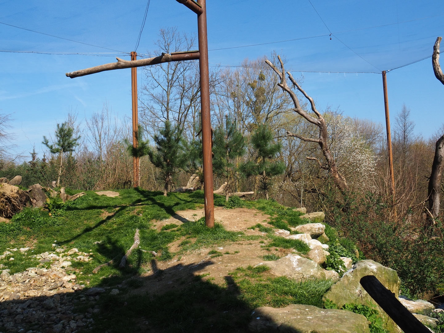 Taiga aviary, 2019-03-30