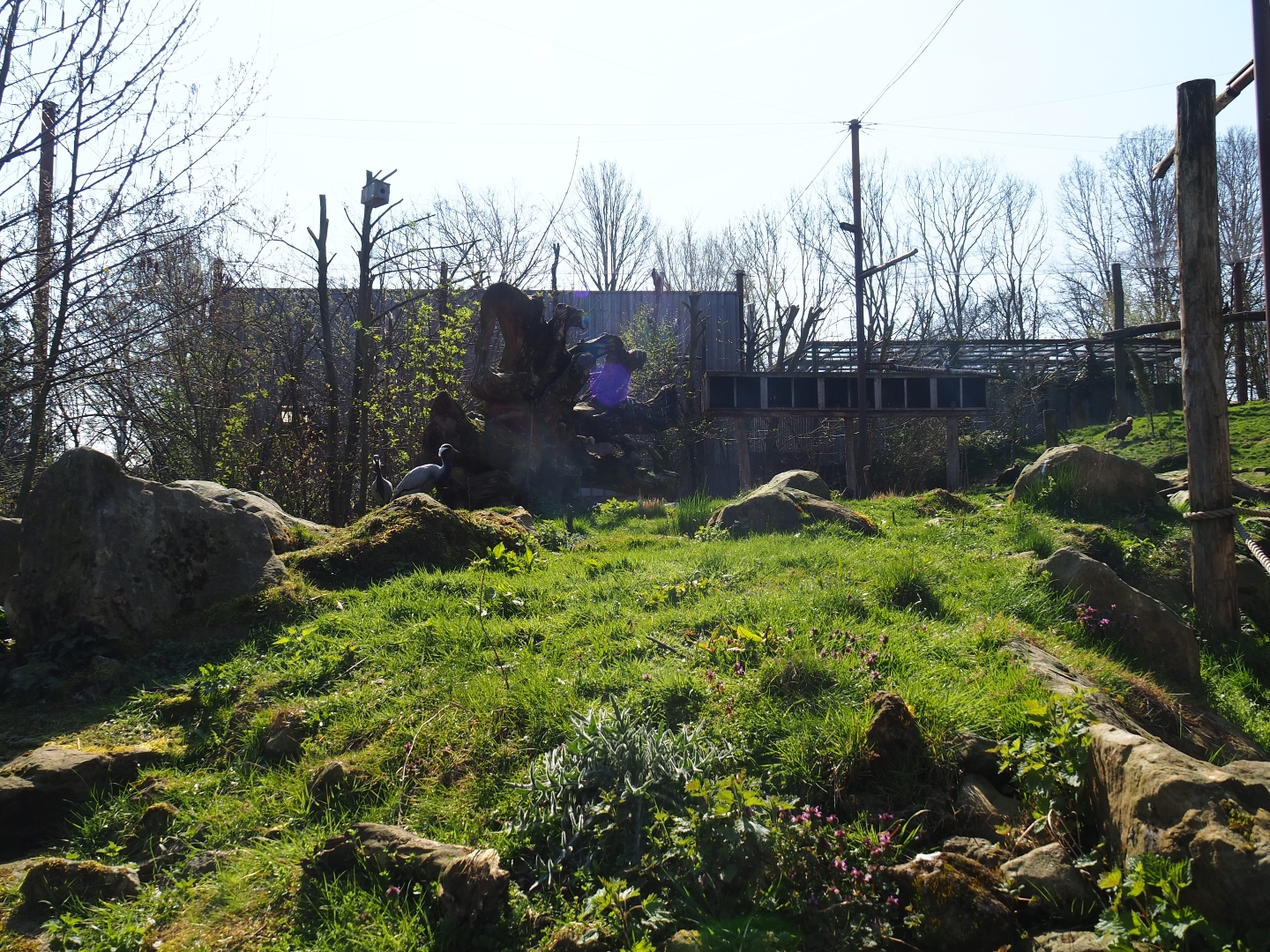 Taiga aviary, 2019-03-30