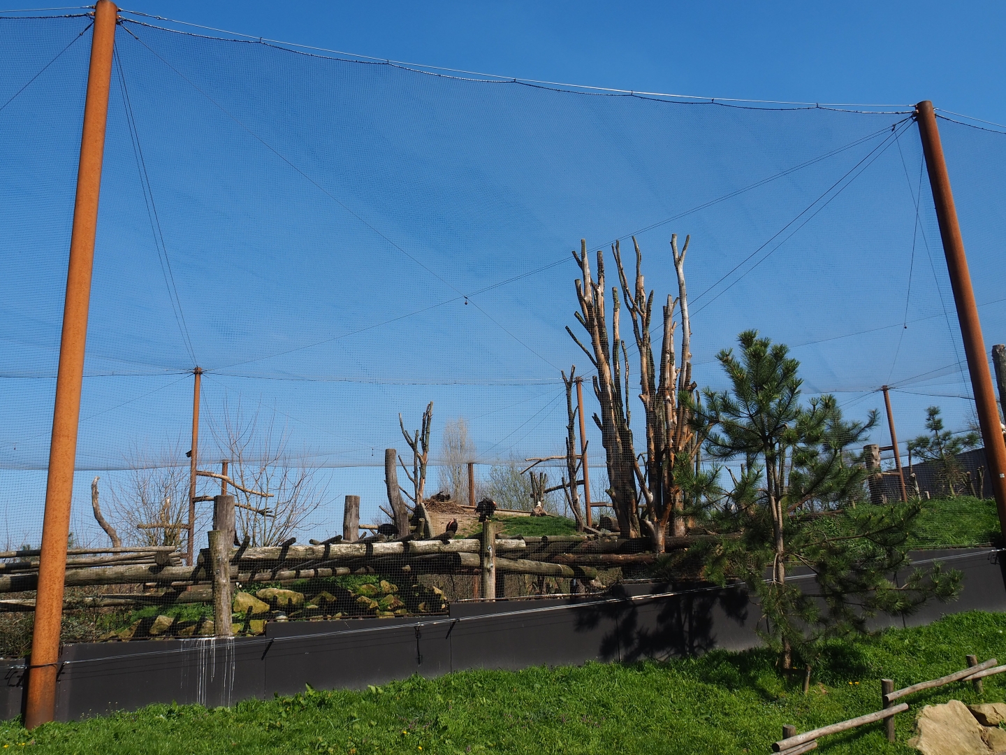 Taiga aviary, 2019-03-30