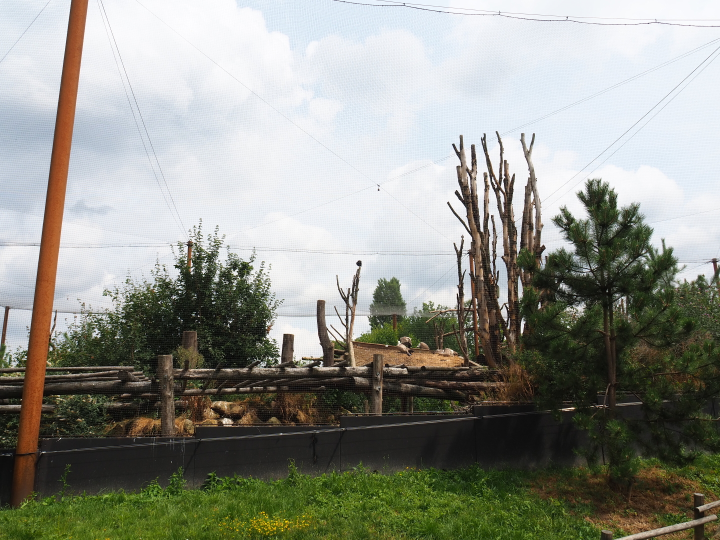 Taiga aviary, 2019-07-21