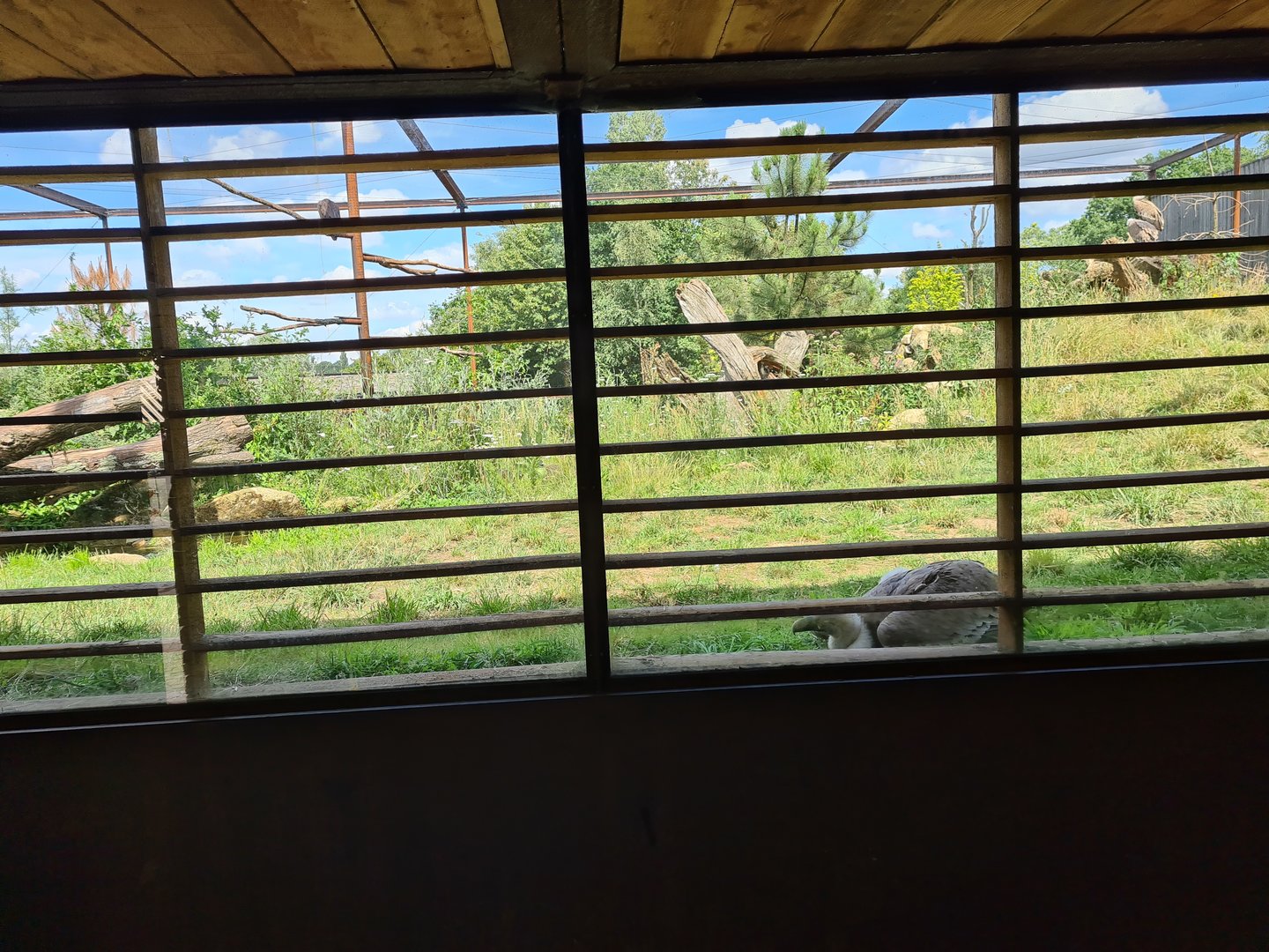 Taiga aviary - Smaller viewing hut