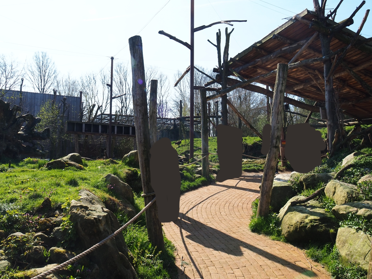 Taiga aviary viewing area, 2019-03-30