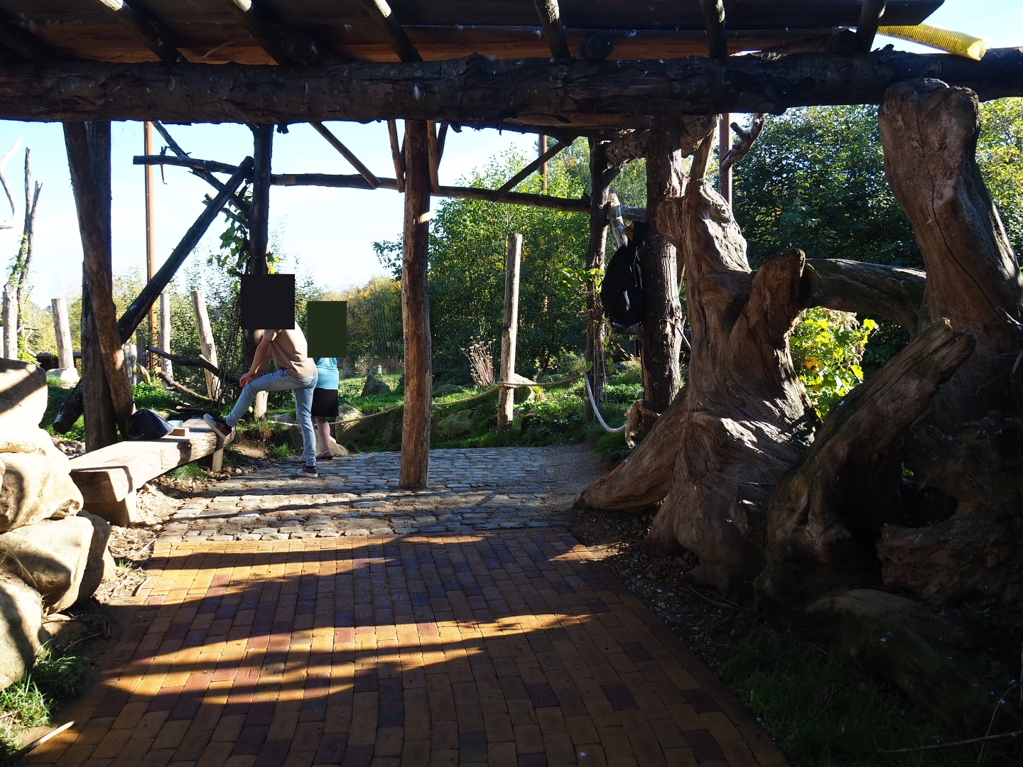 Taiga aviary viewing area (Oct 13th, 2018)