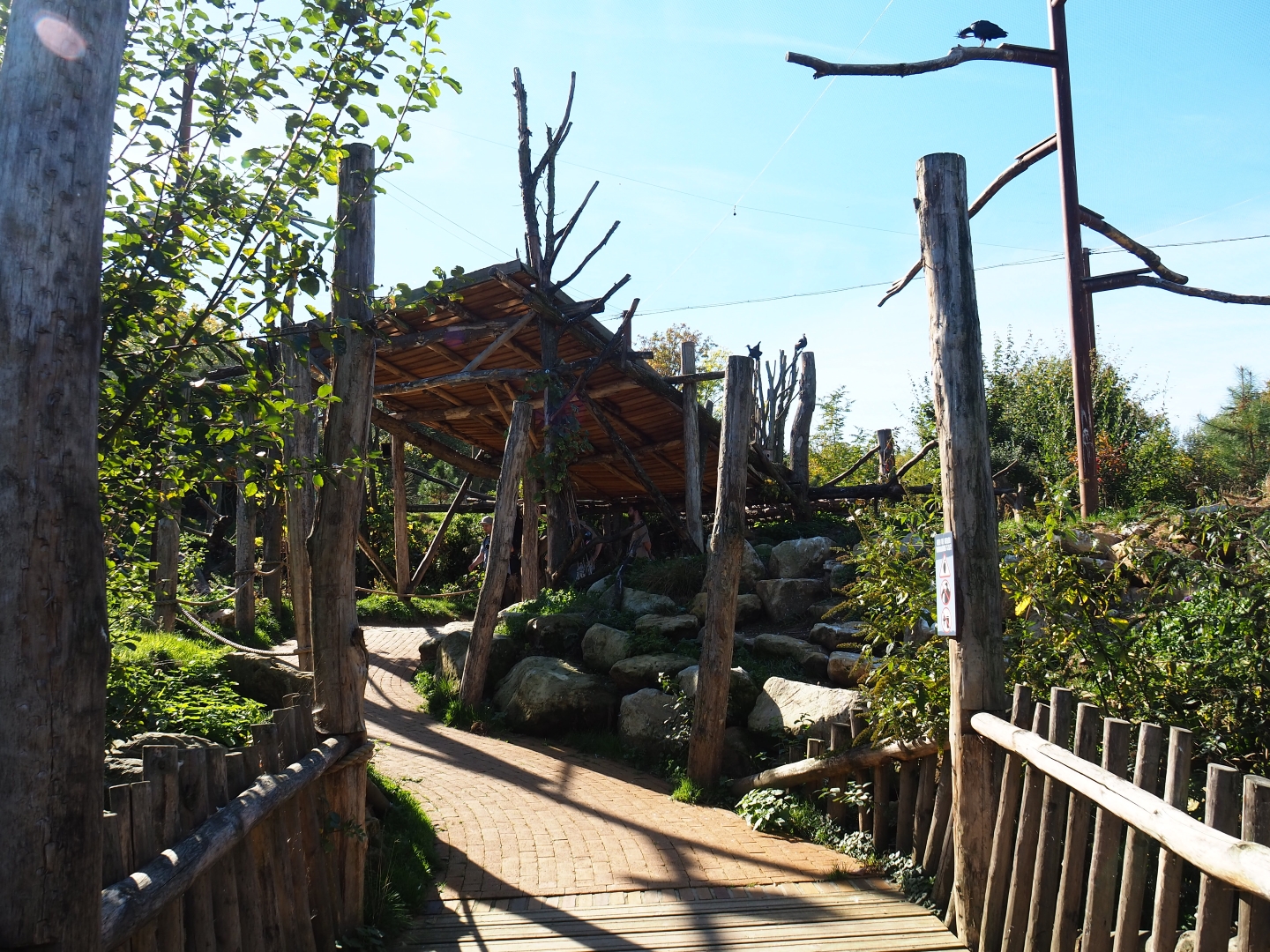 Taiga aviary viewing area (Oct 13th, 2018)