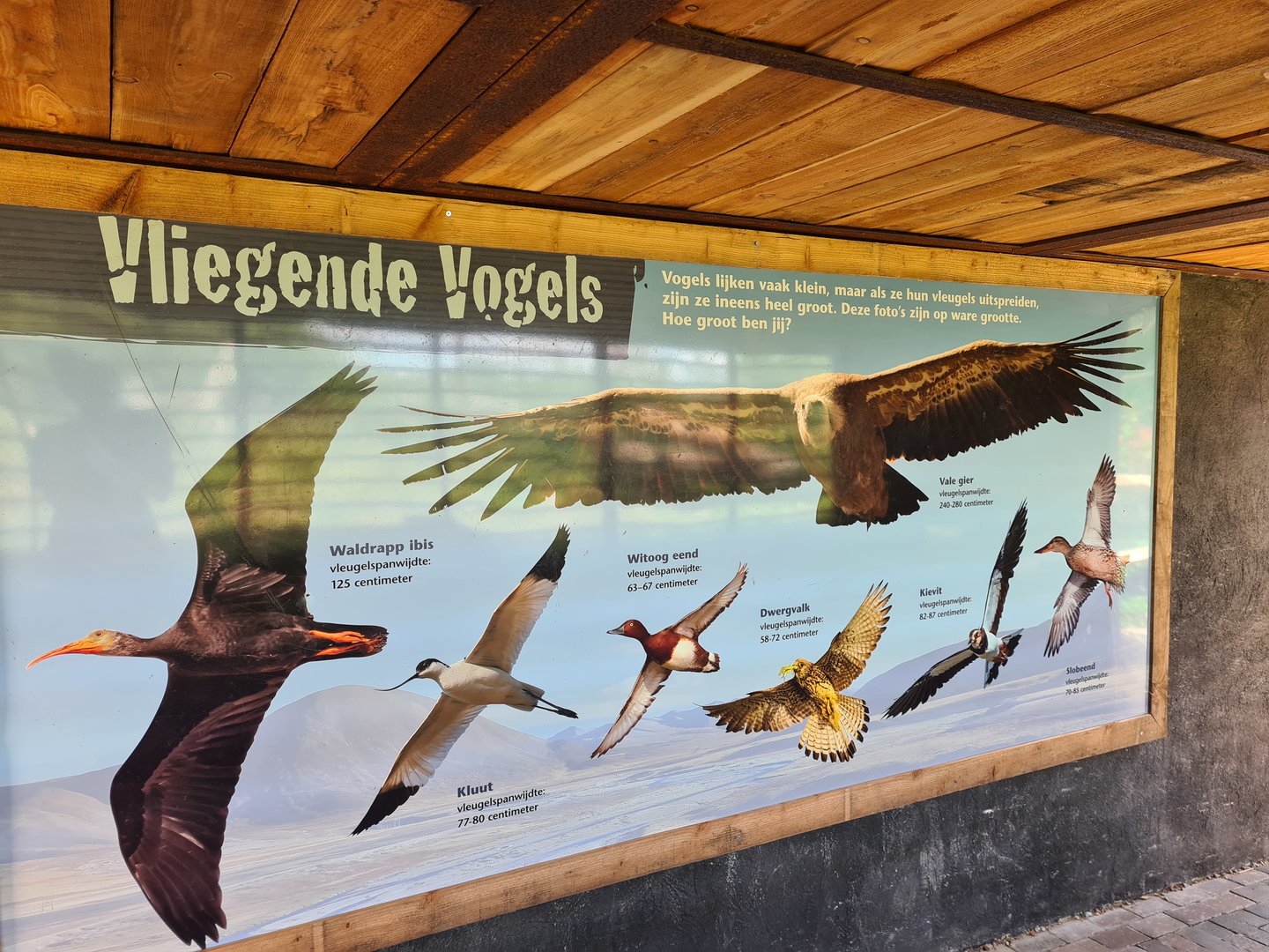 Taiga aviary - Wingspan signage