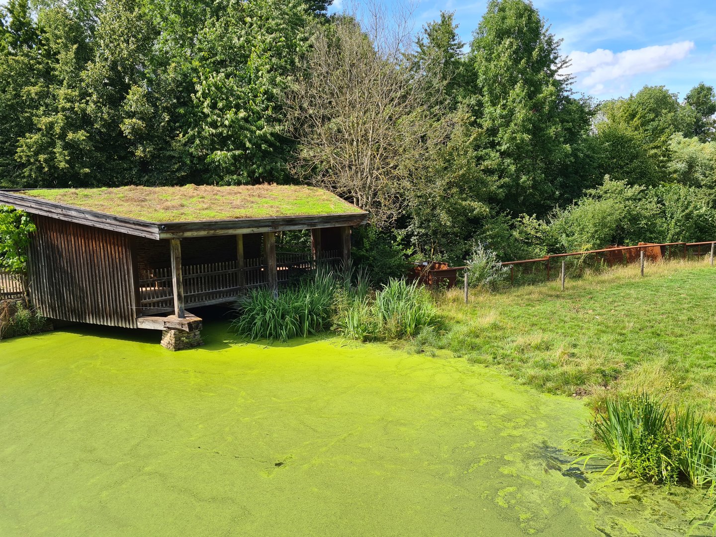 Taiga - Bactrian camel viewing hut