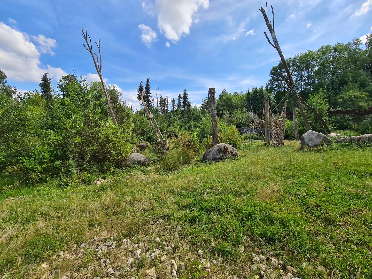 Taiga - Barbary macaque enclosure