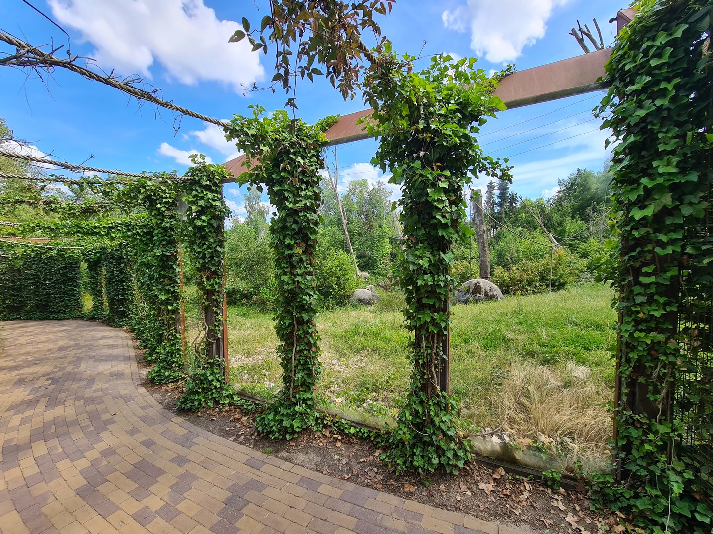 Taiga - Barbary macaque viewing area