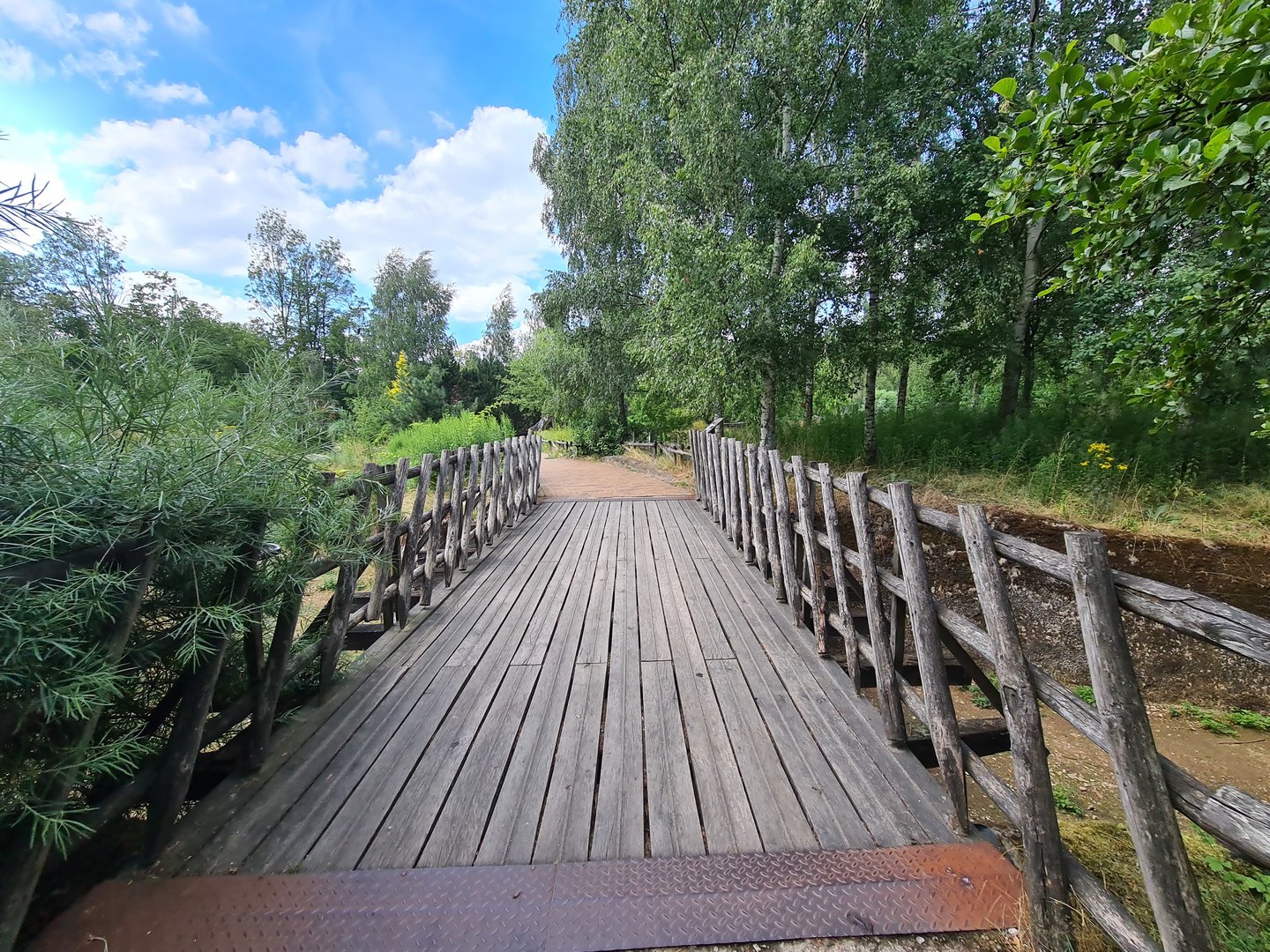 Taiga - Bridge over reindeer enclosure
