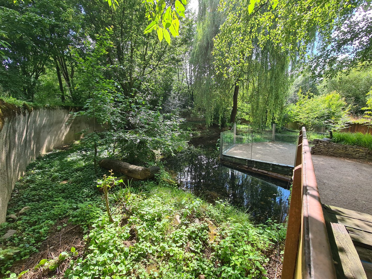 Taiga - Eurasian otter enclosure