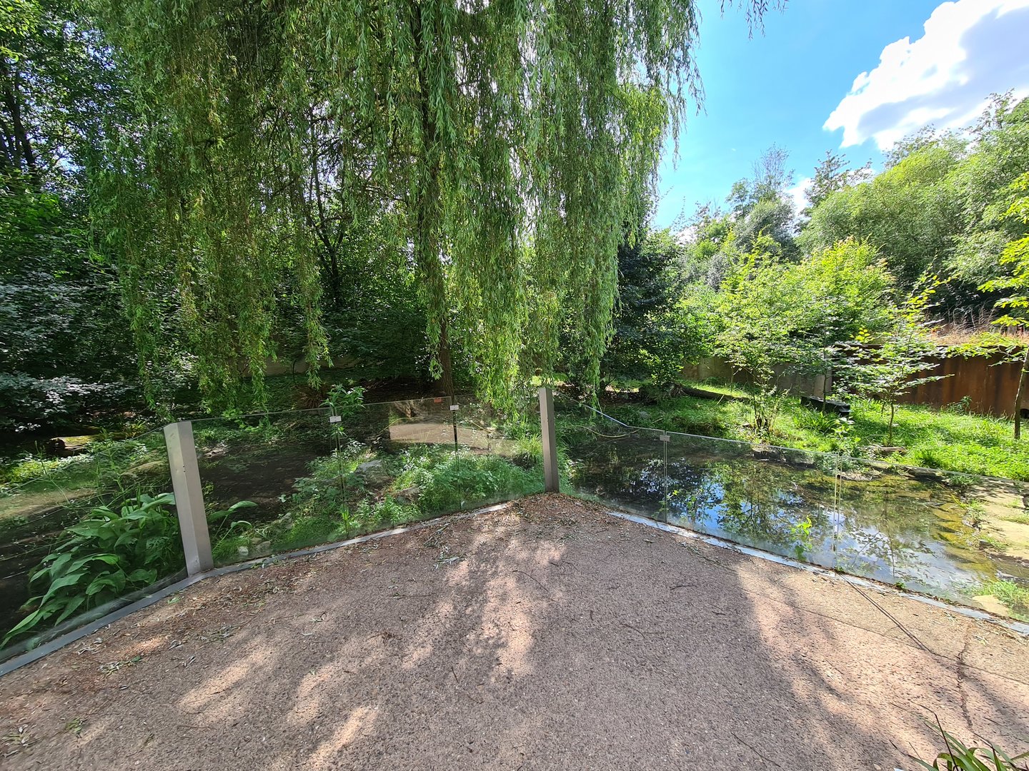 Taiga - Eurasian otter enclosure
