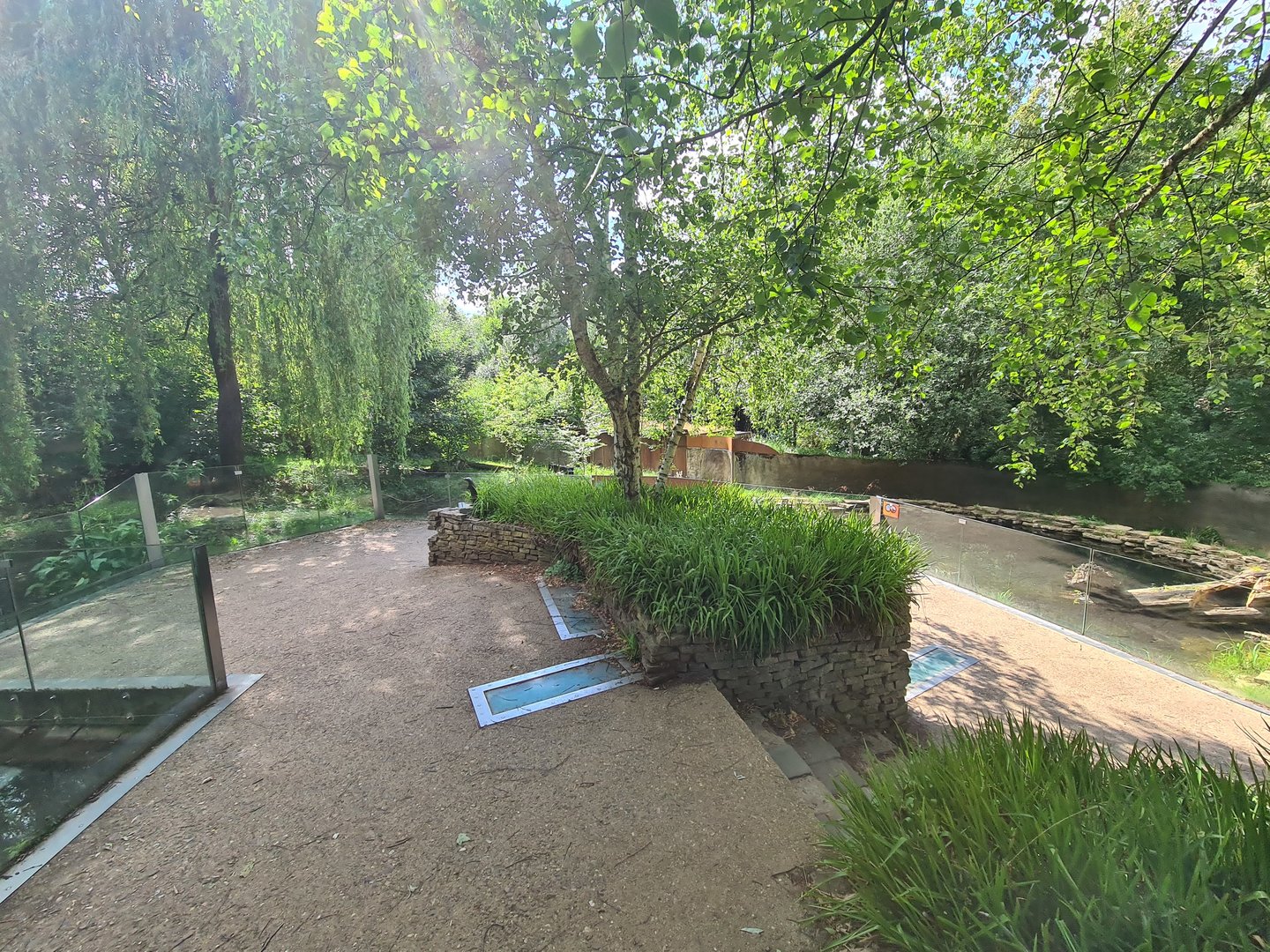 Taiga - Eurasian otter viewing area