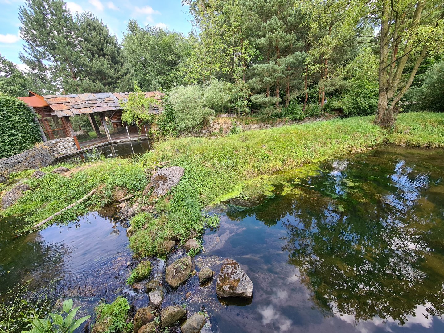 Taiga - European beaver enclosure