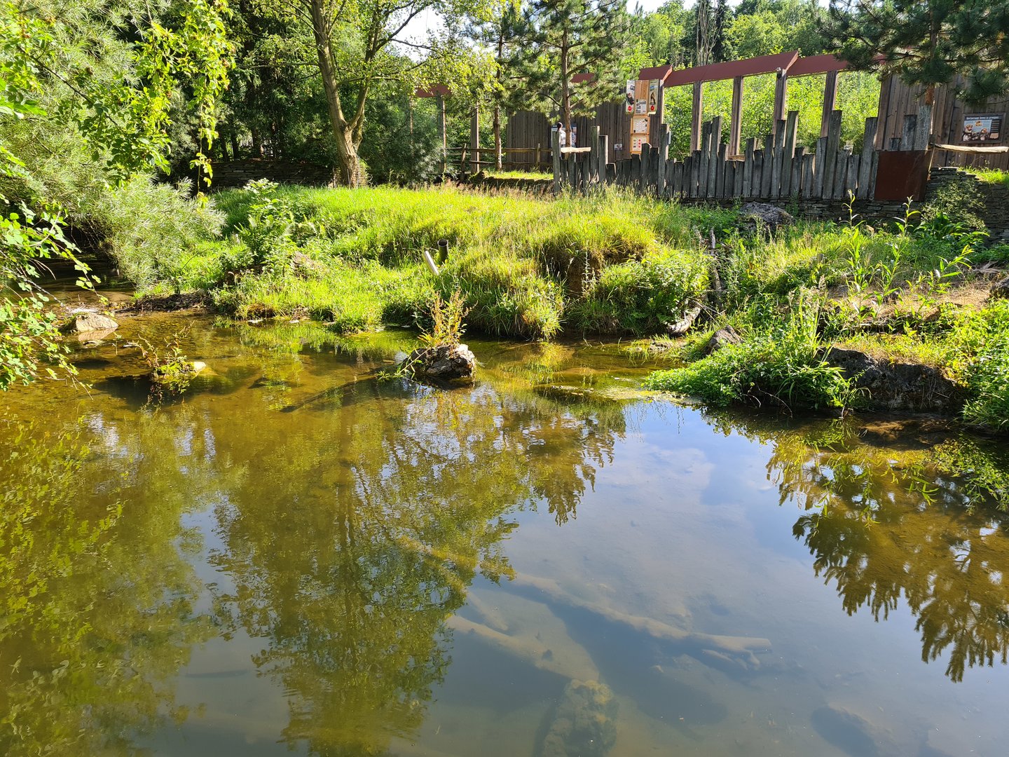 Taiga - European beaver enclosure