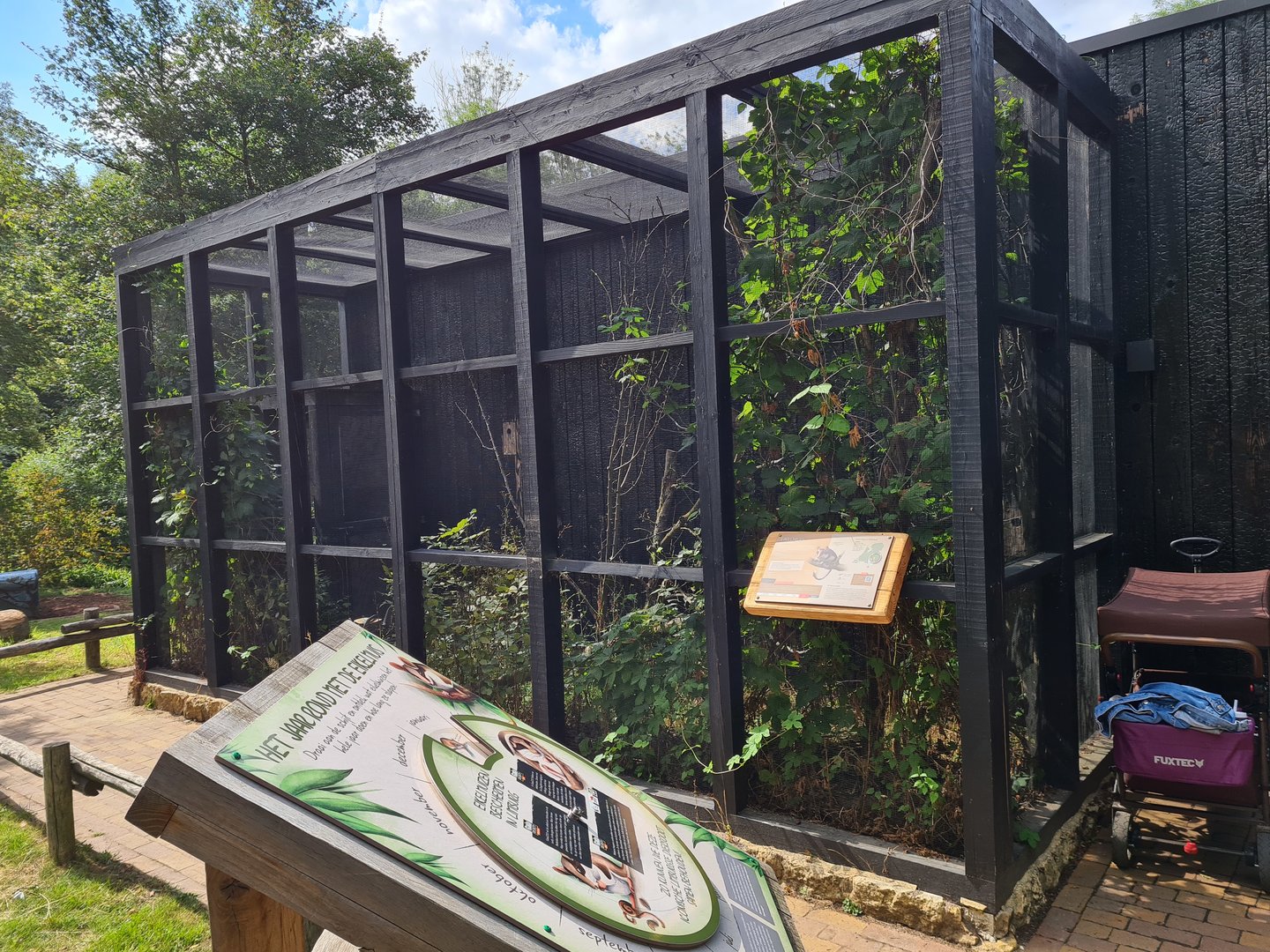 Taiga - European garden dormouse outdoor enclosure
