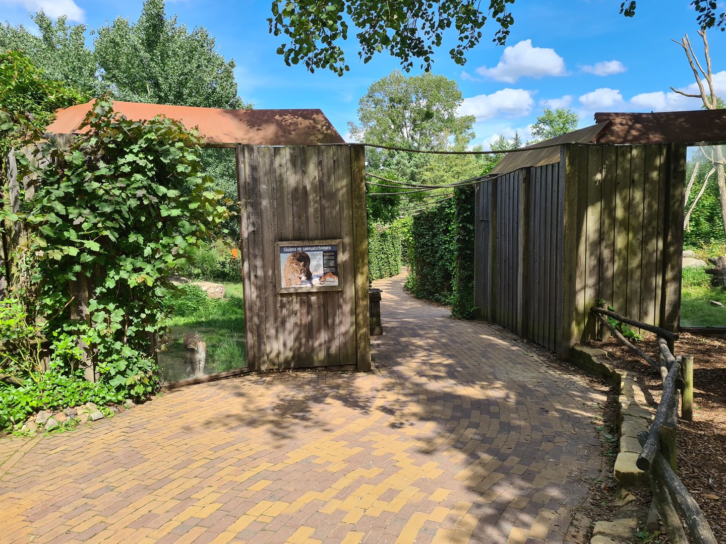 Taiga - European lynx and Barbary macaque enclosures