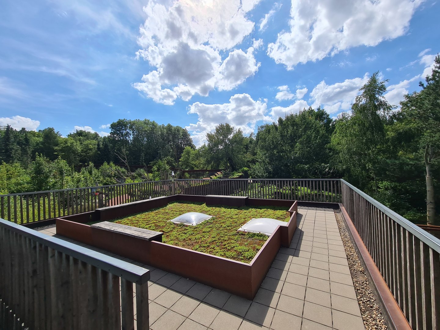 Taiga - European lynx upper viewing point