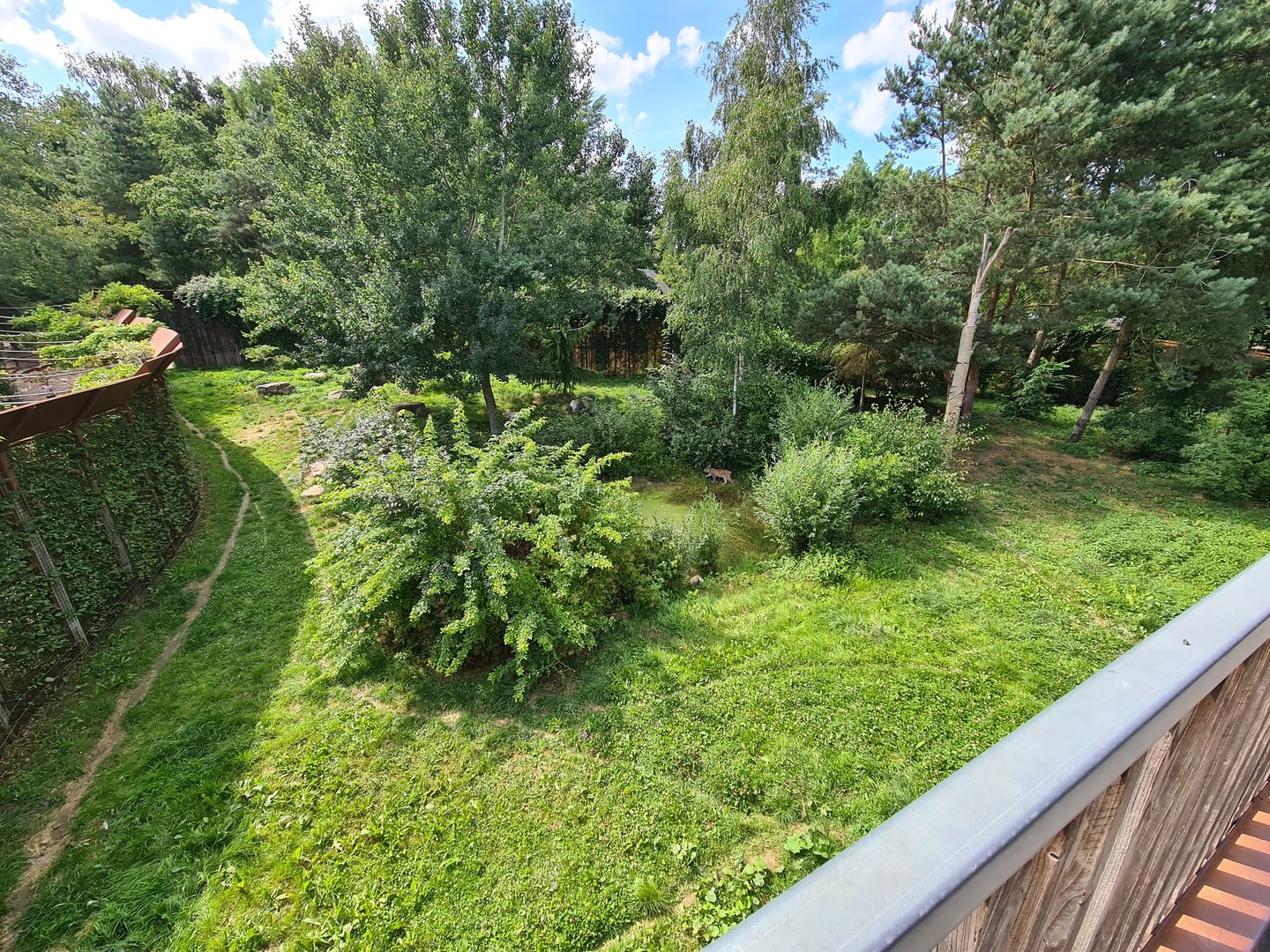 Taiga - first European lynx enclosure