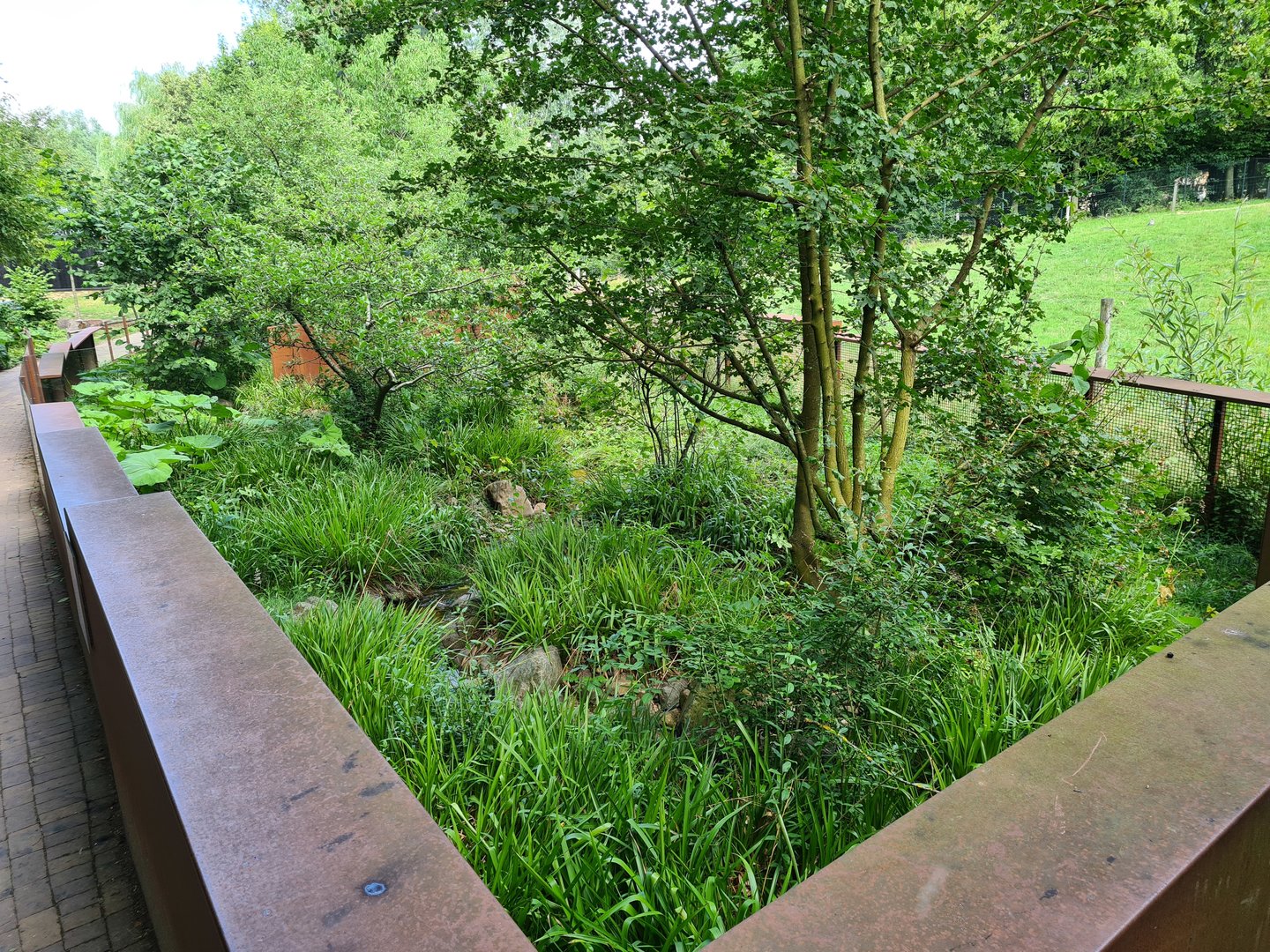 Taiga - First European mink enclosure