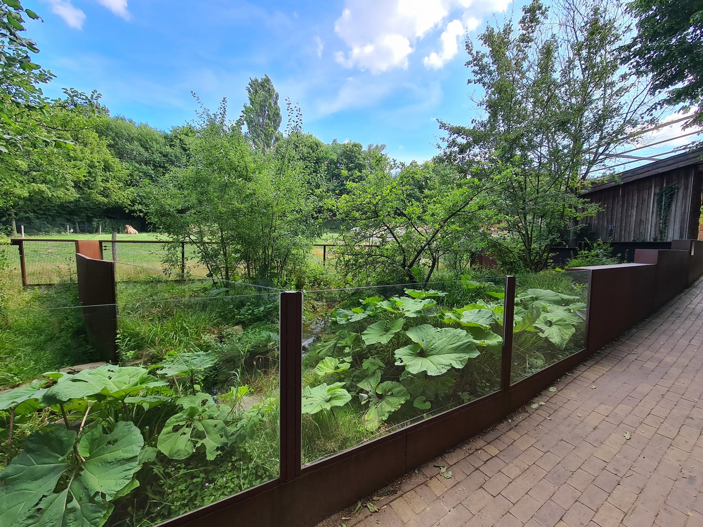 Taiga - First European mink enclosure