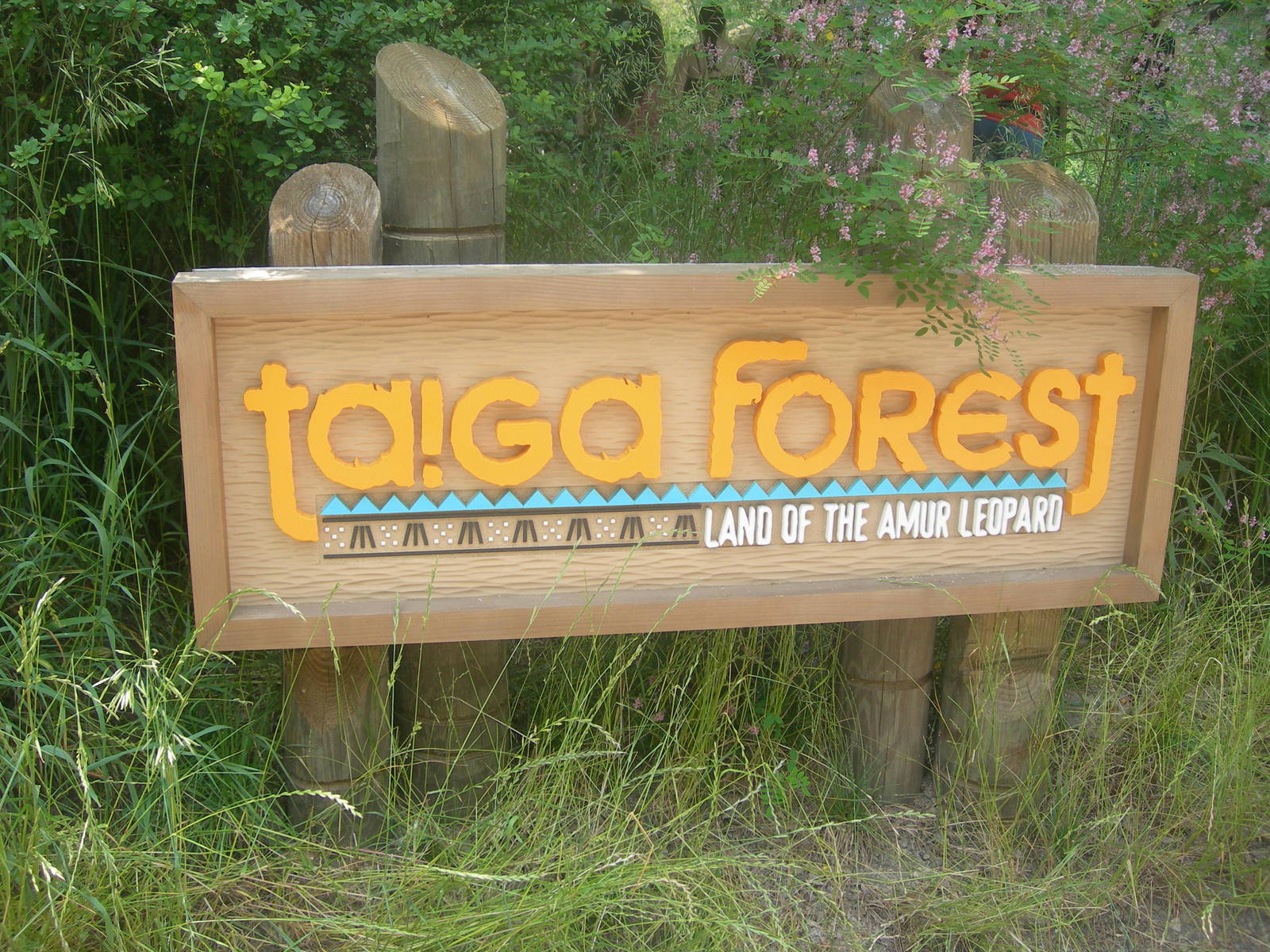 Taiga Forest Sign