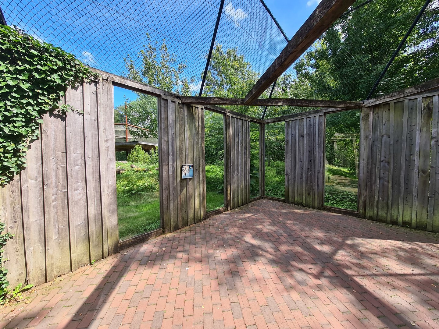 Taiga - Grey wolf viewing area