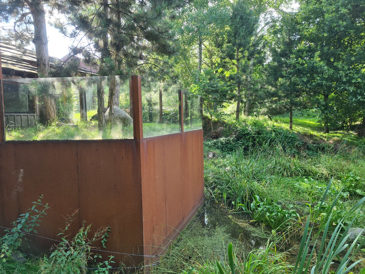 Taiga - Hermann's tortoise enclosure in European lynx enclosure