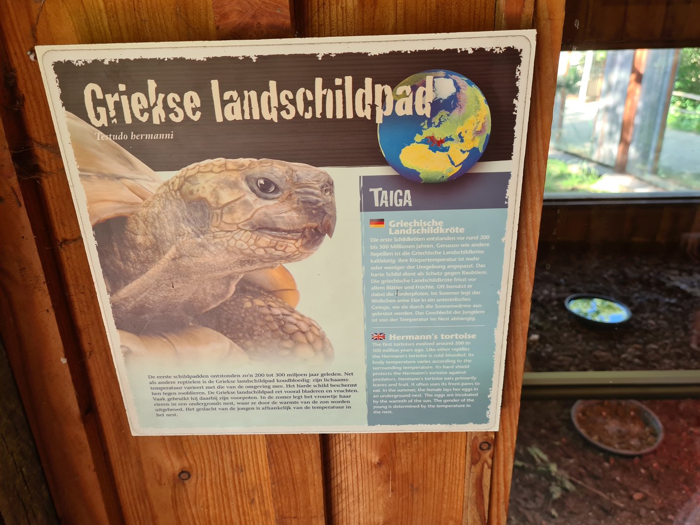 Taiga - Hermann's tortoise signage