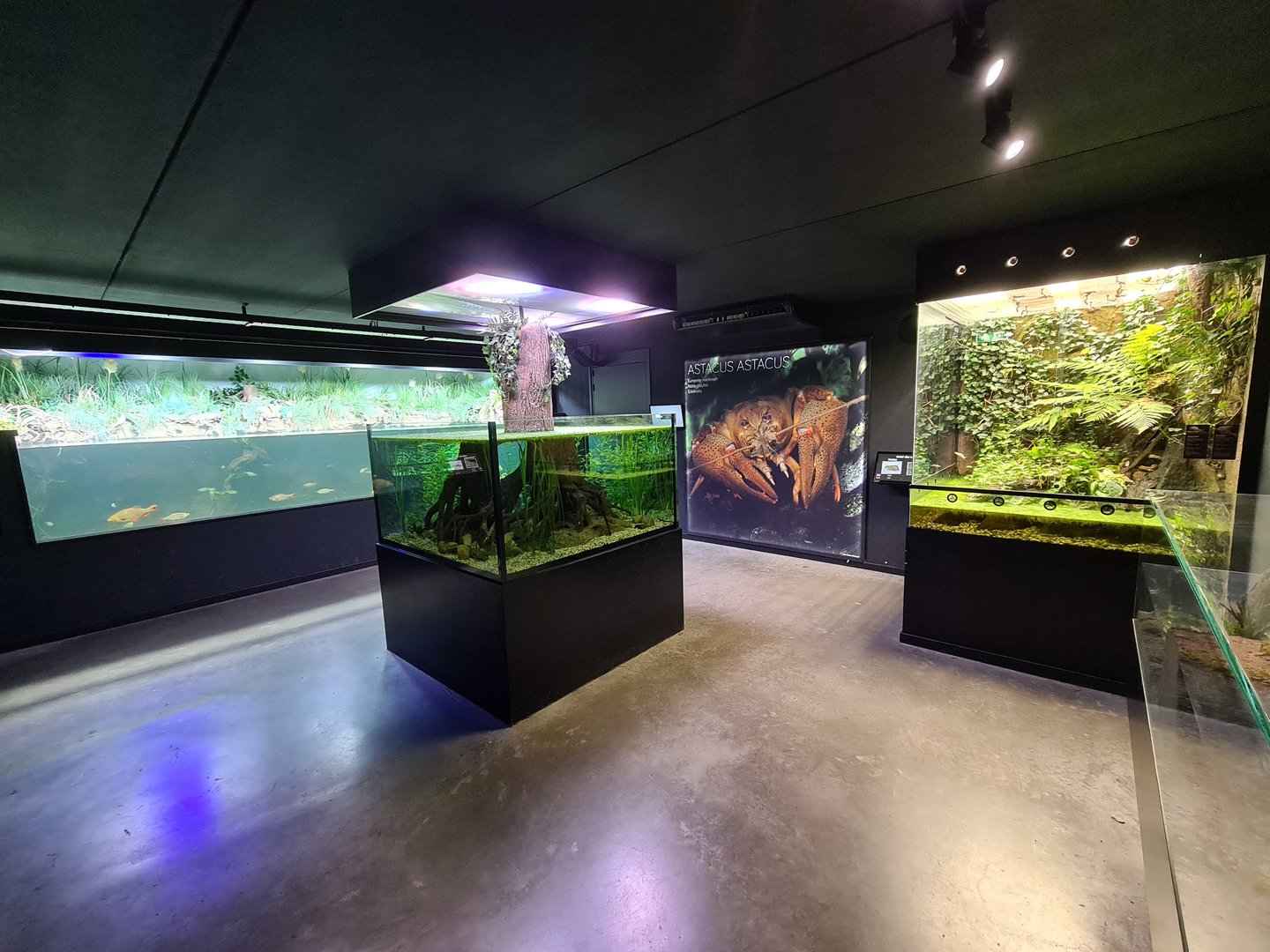 Taiga - Limburg house interior