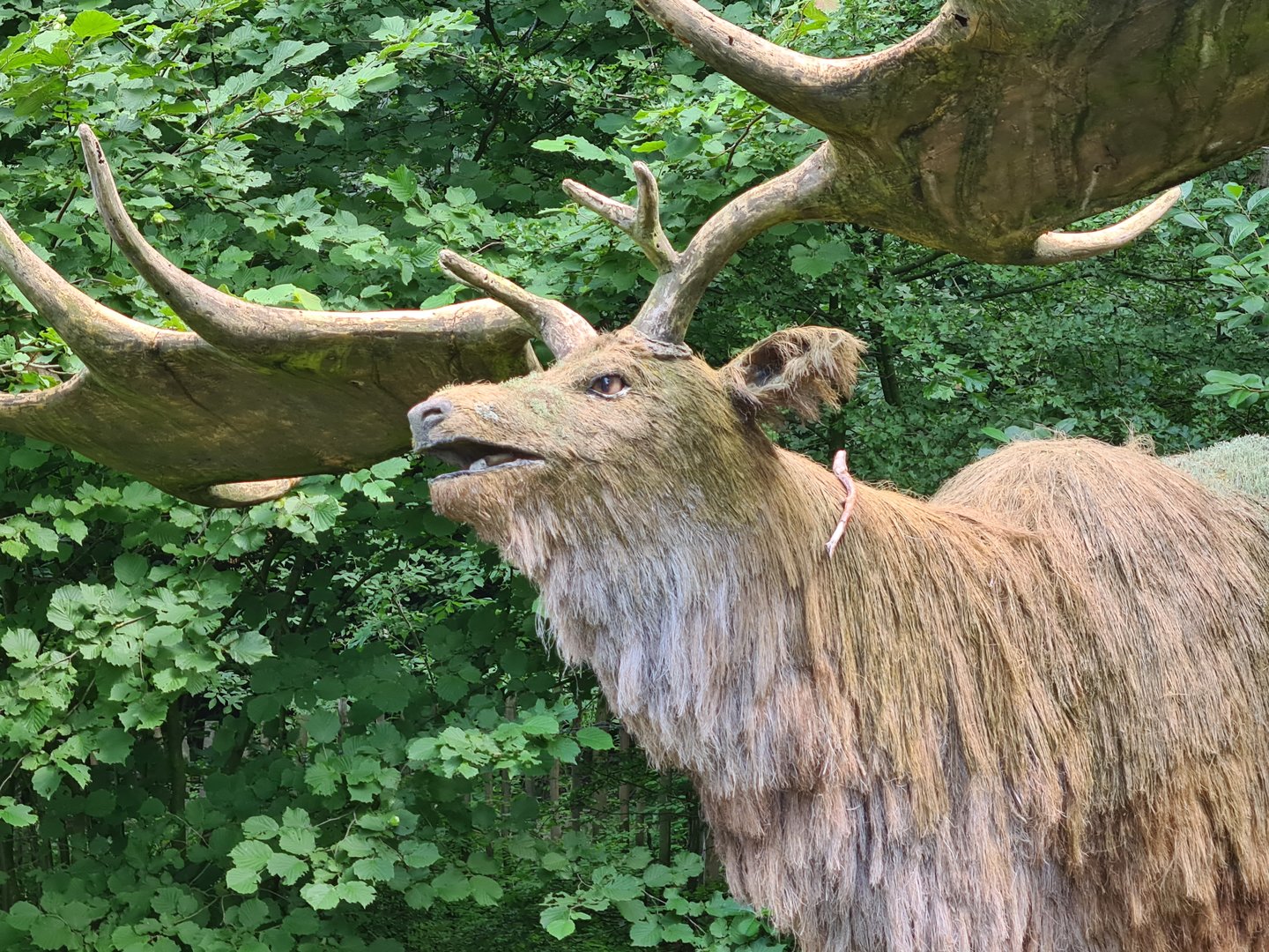 Taiga - Megaloceros statue