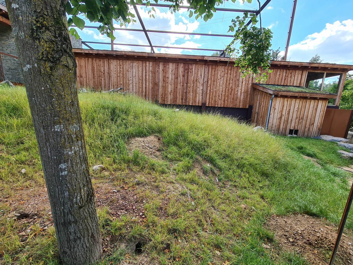 Taiga - New European ground squirrel enclosure