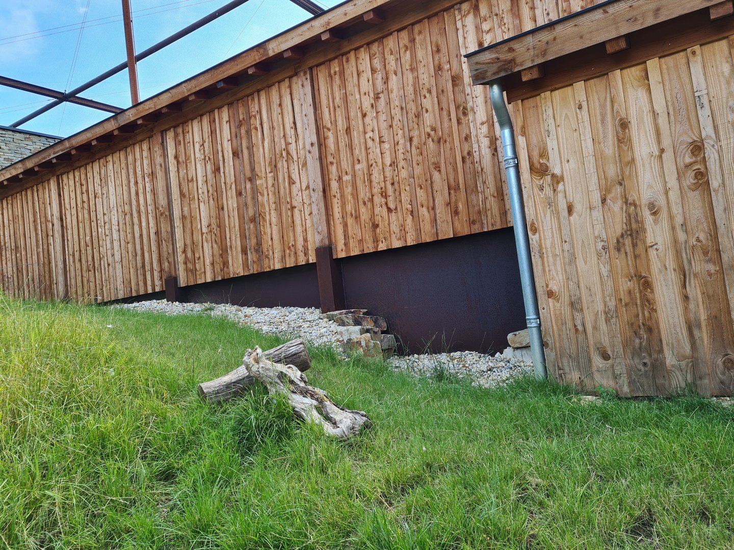 Taiga - New European ground squirrel enclosure