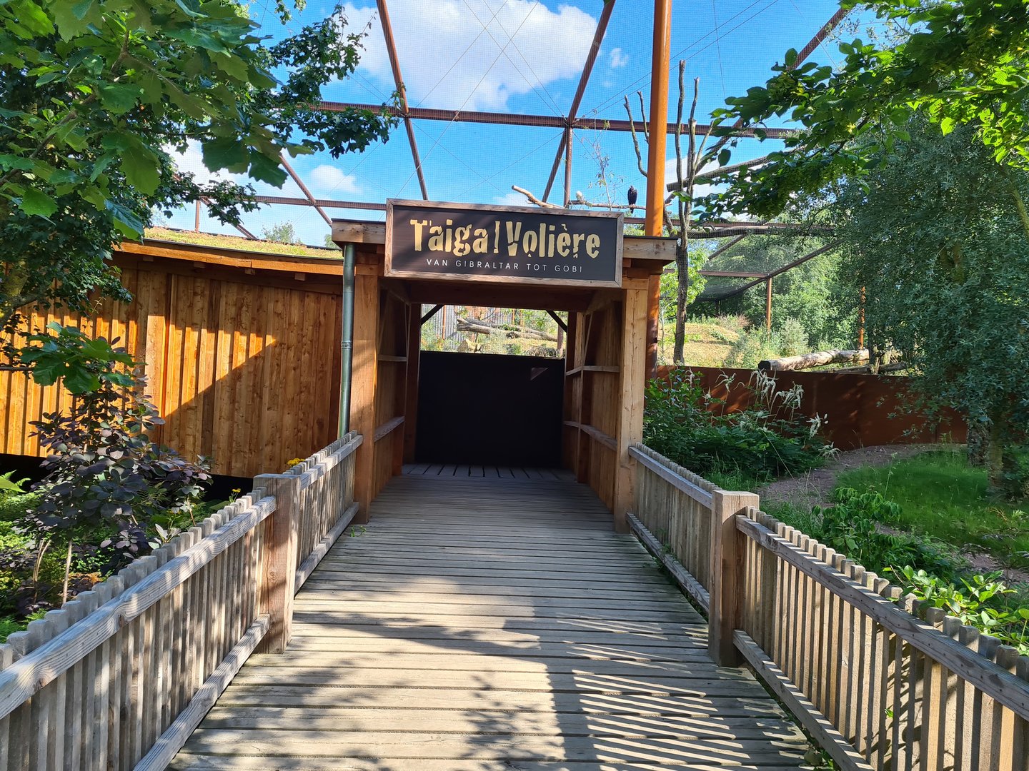 Taiga - New Taiga aviary