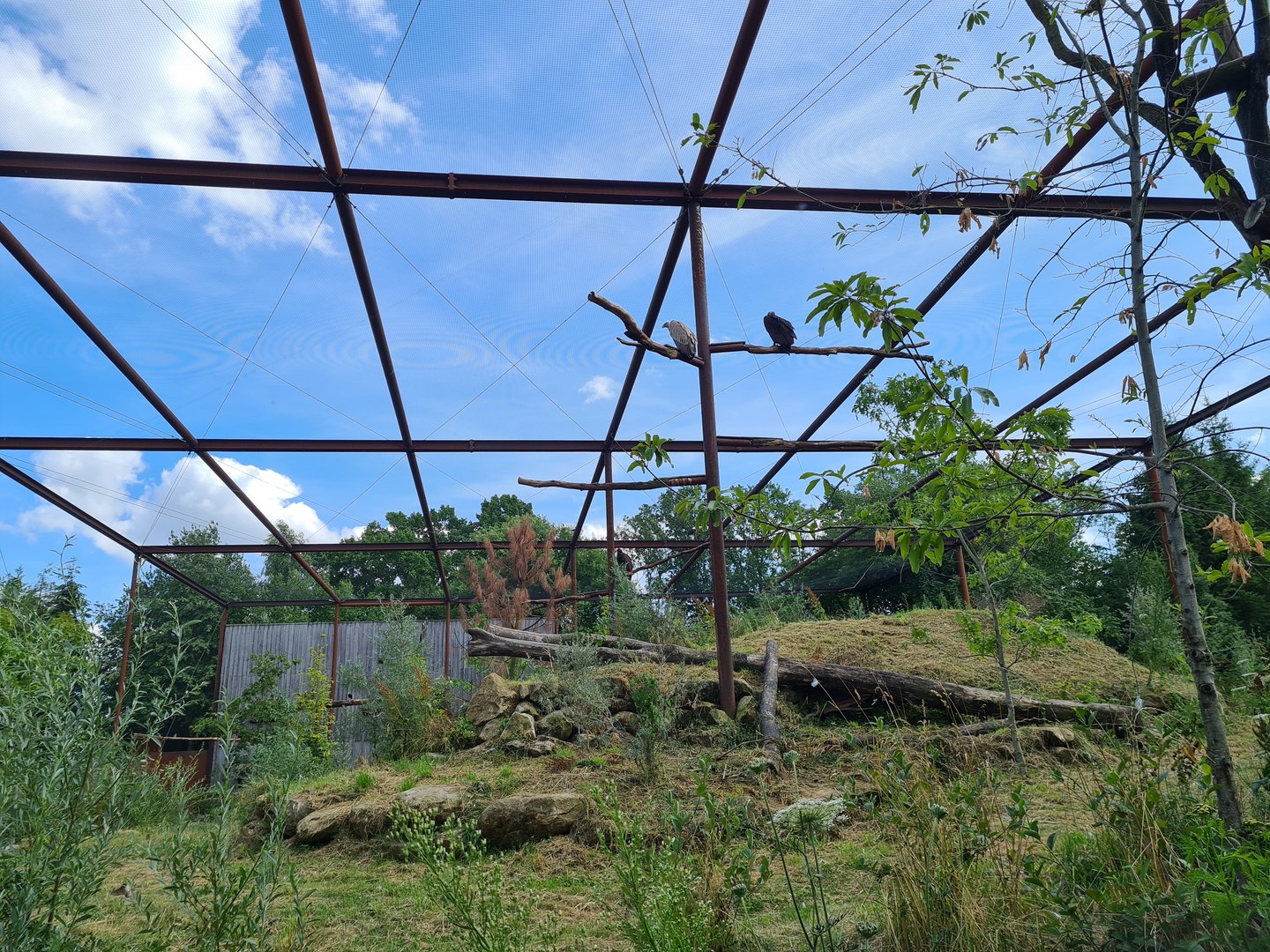 Taiga - New Taiga aviary