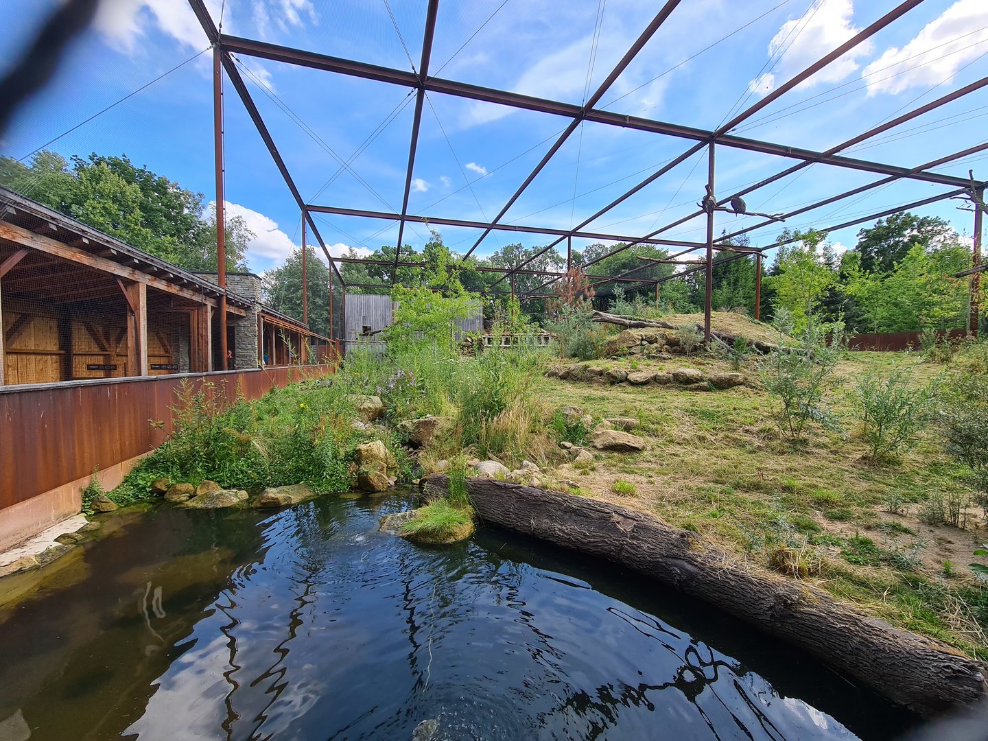 Taiga - New Taiga aviary