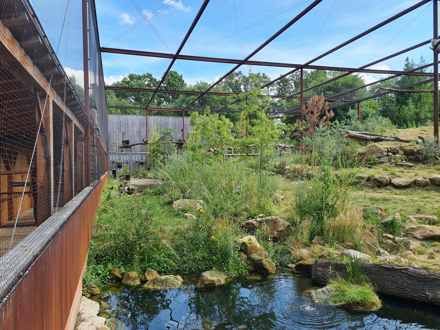 Taiga - New Taiga aviary