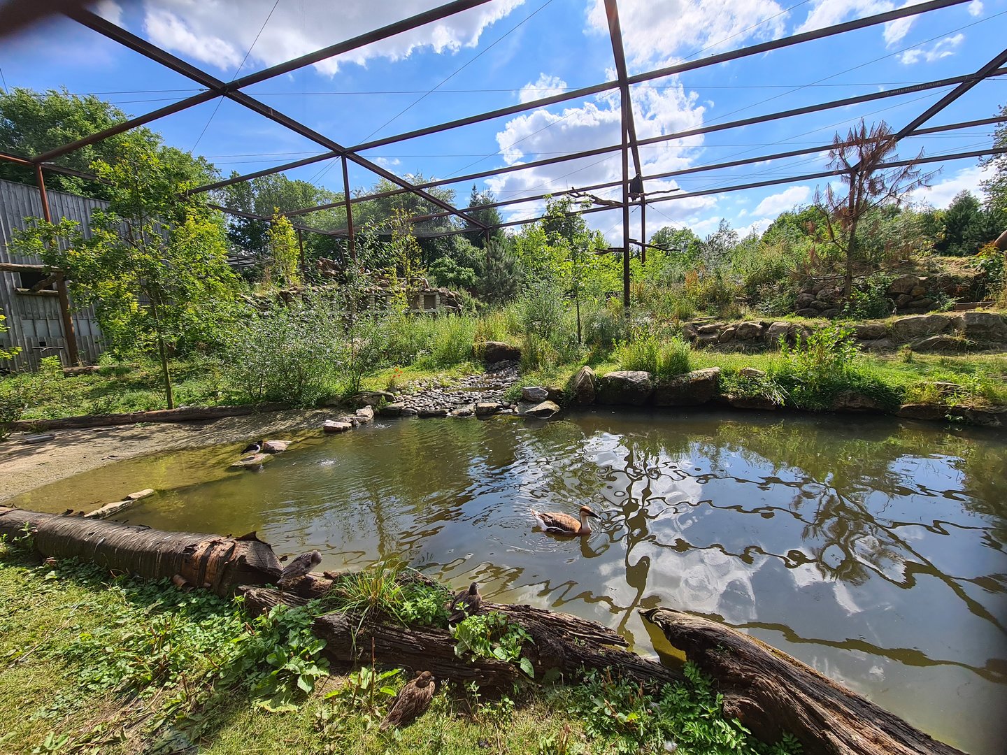 Taiga - New Taiga aviary