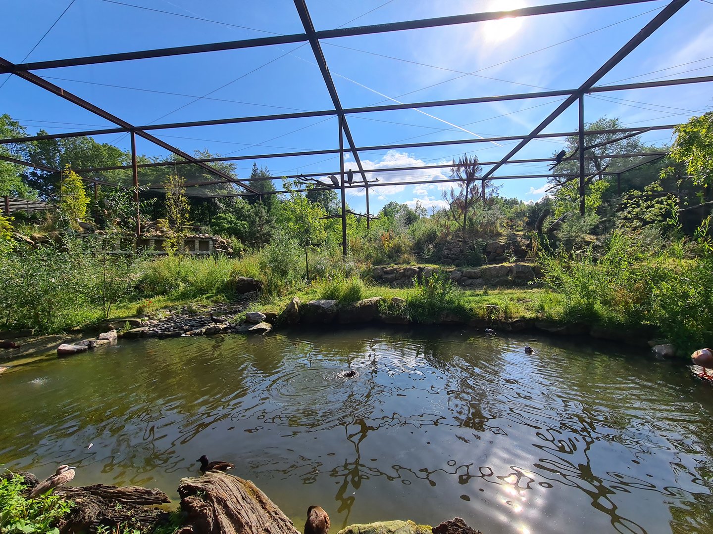 Taiga - New Taiga aviary